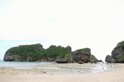 干潮時の海岸の写真