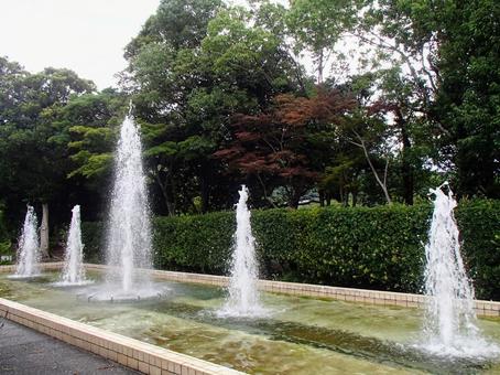 公園 公園の写真