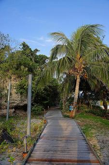 ニューカレドニア494 ウヴェア島 朝景 ニューカレドニア494 ウヴェア島 朝景の写真