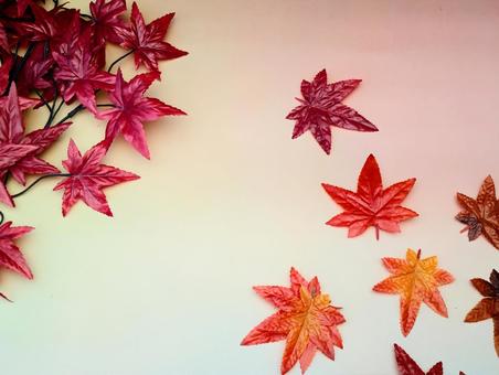 秋イメージ(紅葉)5 秋イメージ(紅葉)5 秋,紅葉,もみじの写真素材