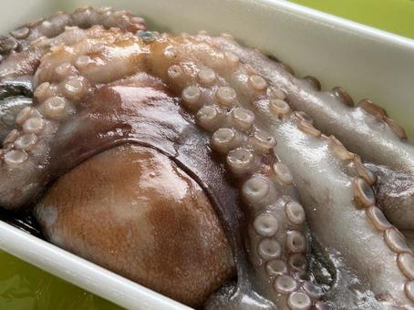 夏が旬の味覚 夏が旬の味覚の写真