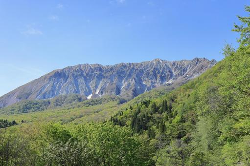 新緑の鍵掛峠から望む大山 1 新緑の鍵掛峠から望む大山 1の写真