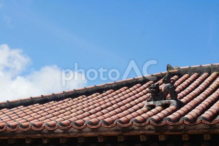 青空と赤瓦とシーサー 空,青空,屋根の写真素材