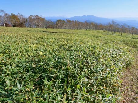 霧降高原八平が原からの高原山方面 霧降高原八平が原からの高原山方面 霧降高原,ハイキング,高原の写真素材