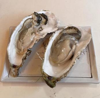 新鮮な生牡蠣の盛り付け 牡蠣,生牡蠣,海鮮の写真素材