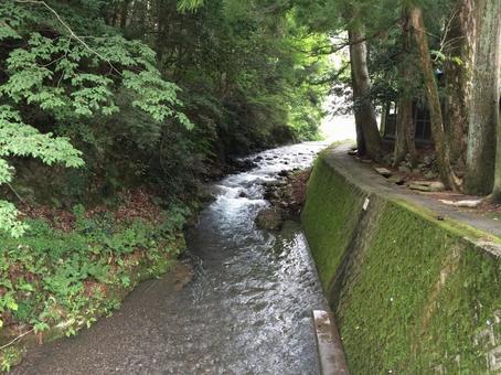 涼しげな川の流れと苔の壁 涼しげな川の流れと苔の壁 自然,風景,川の写真素材