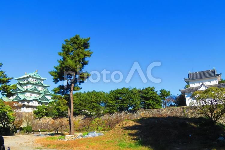 １１月中旬の日中の名古屋城 背景,名古屋城,城の写真素材