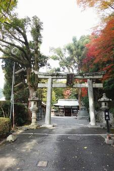 諸羽神社 諸羽神社の写真