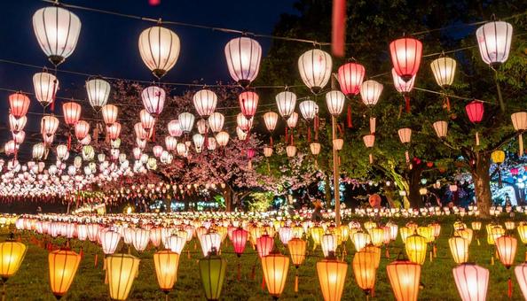 夏祭り 提灯 夏祭り 提灯の写真