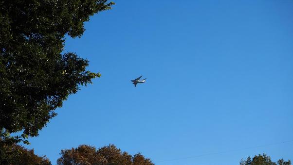 Blue sky, autumn sky, leaves that have begun to color, park Blue sky, autumn sky, leaves that have begun to color, park