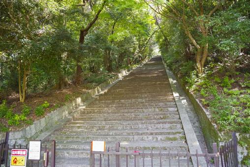 京都 豊国廟の参道の階段 京都 豊国廟の参道の階段 豊国廟,京都,豊臣秀吉の写真素材