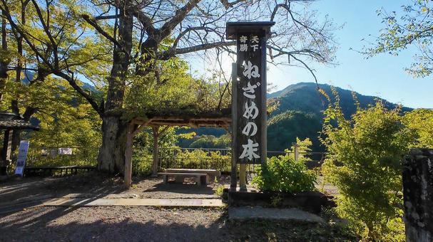 寝覚の床展望台 長野県,青空,秋の写真素材
