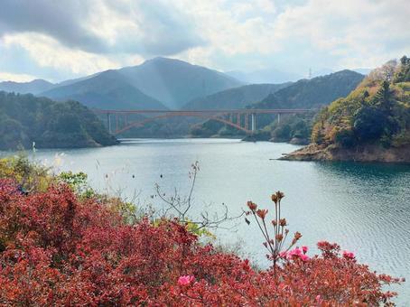 湖と紅葉 湖と紅葉の写真