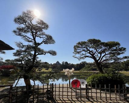 岡山後楽園ーa 岡山後楽園,庭園,観光地の写真素材