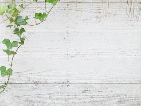 Background material / wood, grain, plant, white, JPG