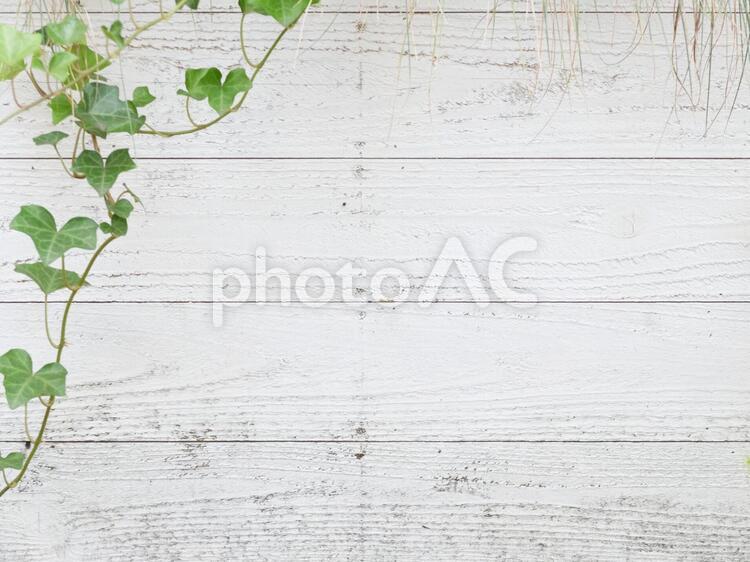 Background material / wood, JPG Background material / wood, grain, plant, white, JPG