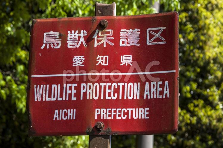 鳥獣保護区1（田原市） 鳥獣保護区,看板,注意の写真素材