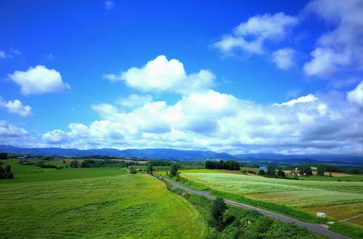 夏の北海道 夏の北海道の写真