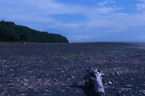三保の松原海岸 三保の松原海岸,富士山,三保の松原の写真素材