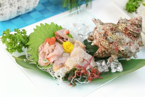 つぶ貝とサザエ つぶ貝とサザエの写真