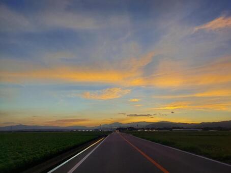 朝焼けの一本道 道,一本道,朝焼けの写真素材