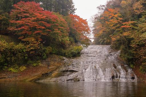 養老渓谷 養老渓谷,粟又の滝,滝の写真素材