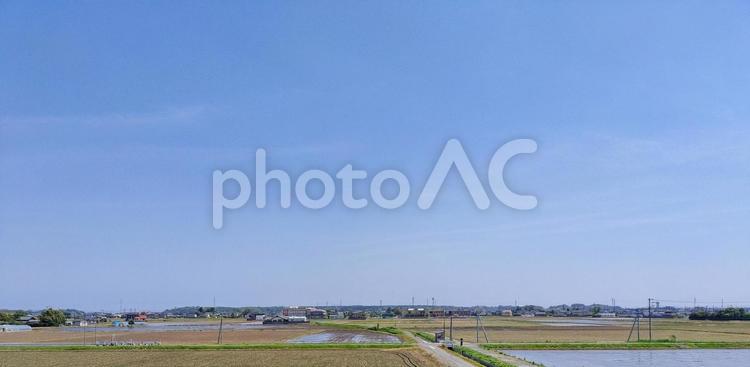 東水戸道路から見るひたちなか市の田園風景 水田,田圃,田んぼの写真素材