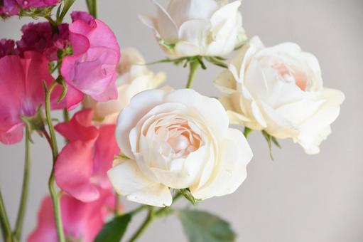 薔薇とスイートピー 薔薇とスイートピーの写真
