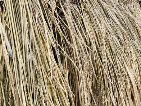 藁テクスチャーの写真