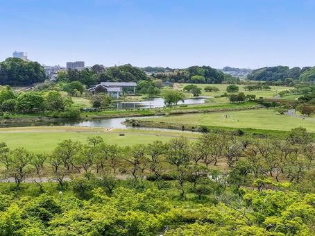偕楽園 好文亭の楽寿楼から月池方面の眺望 偕楽園 好文亭の楽寿楼から月池方面の眺望 偕楽園,月池,好文亭の写真素材