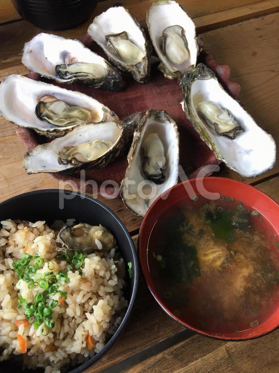 三重県の浦村かき【殻付き生かき】 浦村かき,浦村カキ,浦村牡蛎の写真素材