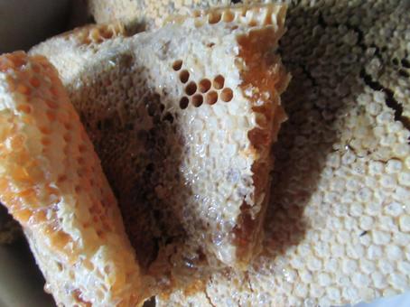 食べ物 食べ物の写真