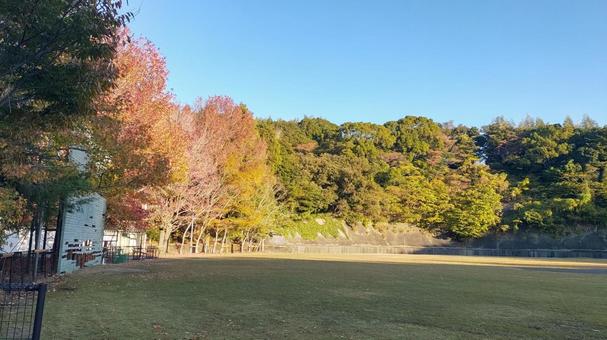 秋のグランド 紅葉,秋,グランドの写真素材