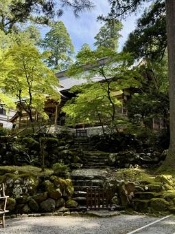2025年夏の永平寺 2025年夏の永平寺 木陰,参道,永平寺の写真素材