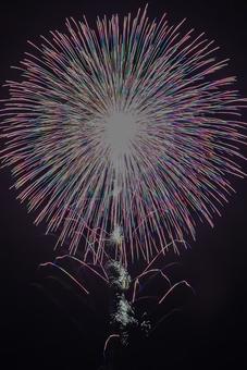 花火 花火の写真