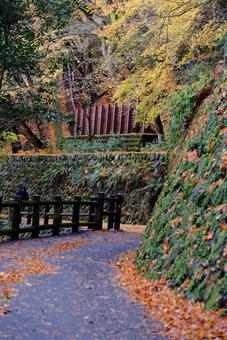 嵐山の紅葉 嵐山の紅葉 嵐山,紅葉,秋の写真素材