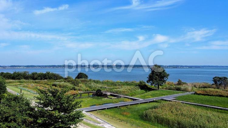 秋の霞ヶ浦・展望台からの眺め（土浦市） 秋,霞ヶ浦総合公園,展望台の写真素材