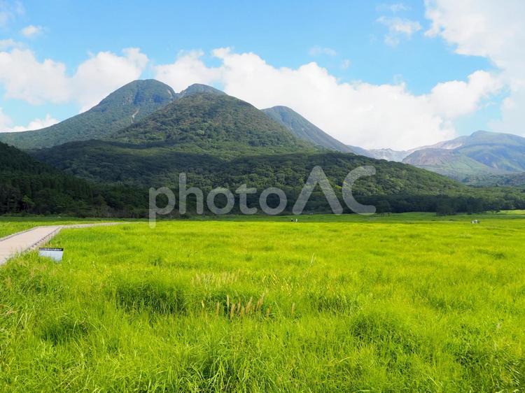 タデ原湿原の景色 タデ原湿原,大分,九重の写真素材