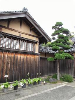 鳥取県-石谷家住宅-入口 鳥取県-石谷家住宅-入口 石谷家,住宅,重要文化財の写真素材
