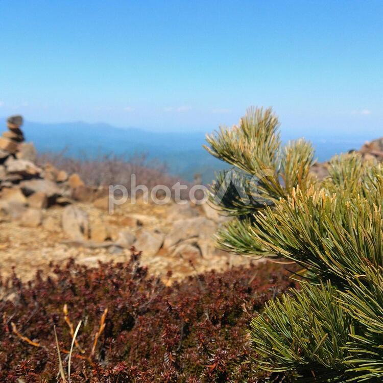 木と空と岩 風景,自然,屋外での写真素材