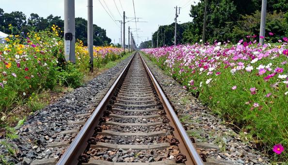 コスモス鉄道 コスモス鉄道の写真