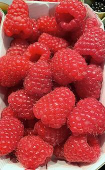 ラズベリー ラズベリー ラズベリー,木苺,赤の写真素材