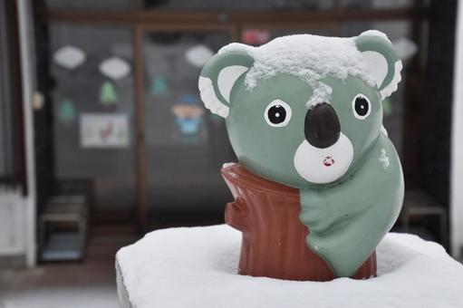 koala, JPG