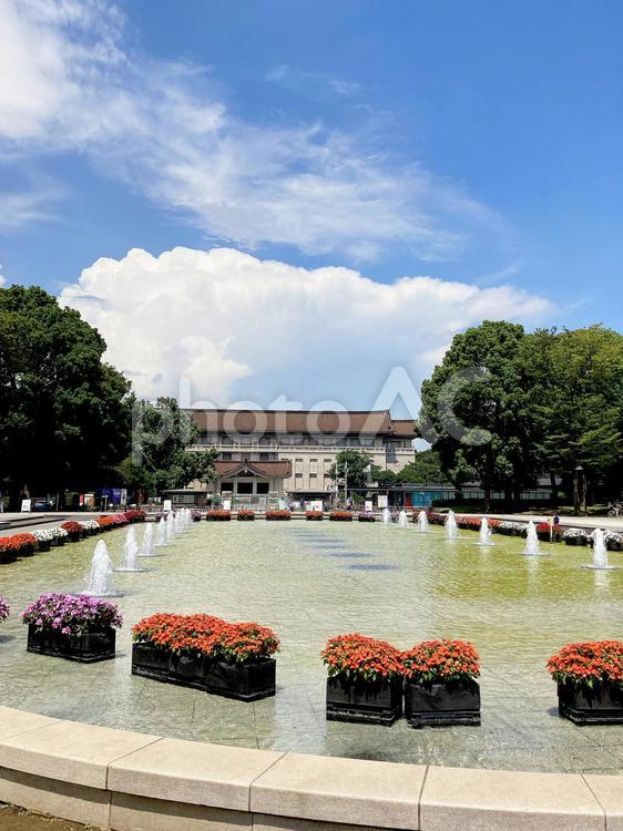 東京風景・上野公園 上野公園,上野恩賜公園,噴水広場の写真素材