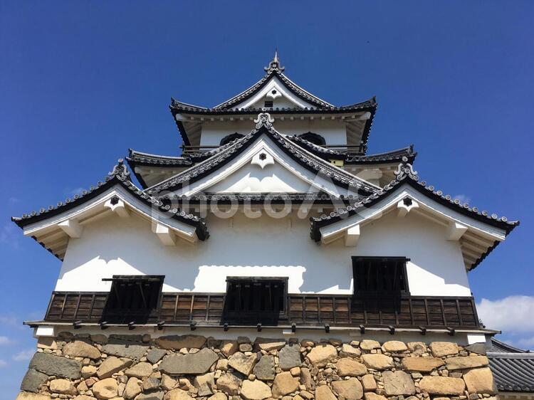 青空の下の彦根城 彦根城,城,滋賀の写真素材