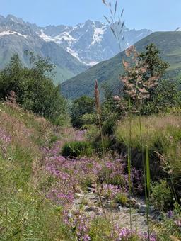 シュハラ氷河トレッキングコース シュハラ氷河,氷河,雪山の写真素材