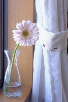 窓際に置かれた一輪の花 窓際に置かれた一輪の花の写真