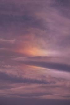 Flowers of light blooming in the sky, JPG