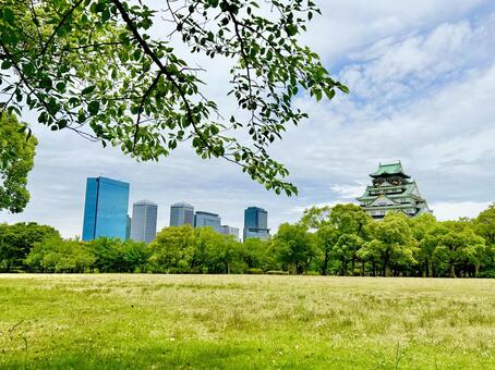 【大阪府】大阪城（西の丸庭園） 大阪城,天守閣,本丸の写真素材