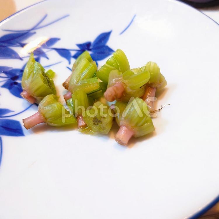 ほうれんそうの根本 ほうれん草,根っこ,根本の写真素材